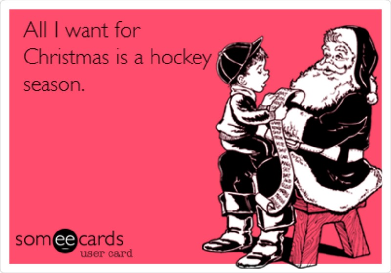Christmas and New Year Wishes